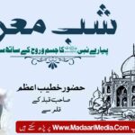 https://madaarimedia.com/shabe-meraj-allama-syed-intisab-husain-qadiri-%d8%b4%d8%a8-%d9%85%d8%b9%d8%b1%d8%a7%d8%ac-%d8%b9%d9%84%d8%a7%d9%85%db%81-%d8%b3%db%8c%d8%af-%d8%a7%d9%86%d8%aa%d8%b3%d8%a7%d8%a8-%d8%ad%d8%b3%db%8c/