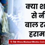 madaarimedia.com