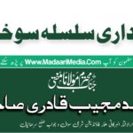 madaarimedia.com