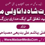 shah dana wali