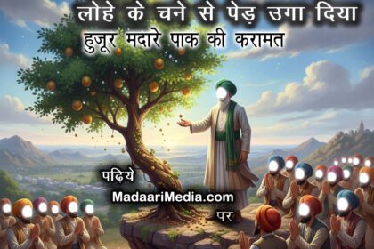 Growing a tree from an iron gram